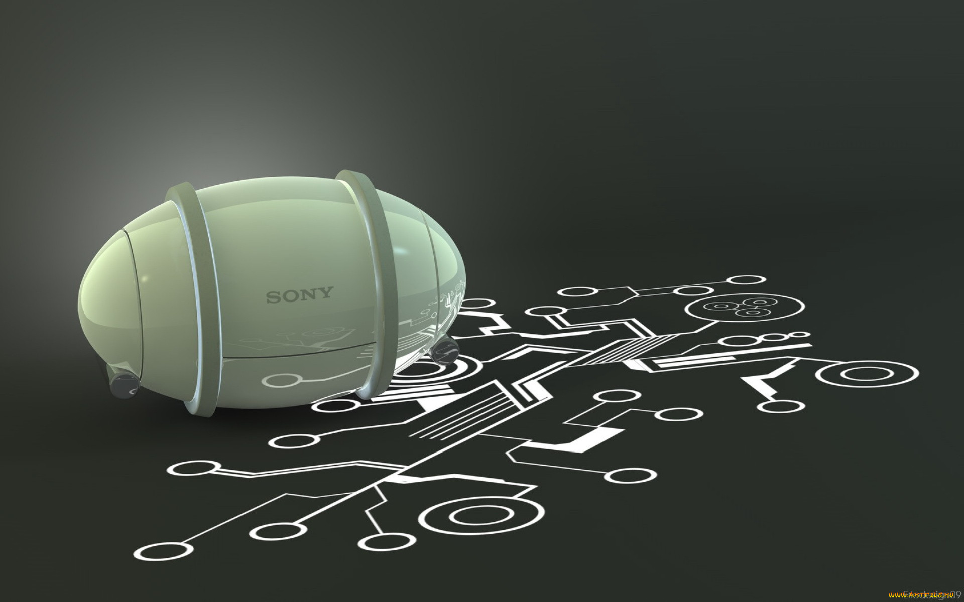 , sony